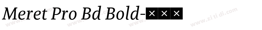 Meret Pro Bd Bold字体转换